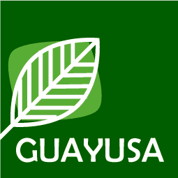 Guayusa